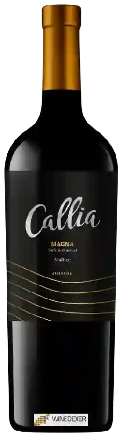 Weingut Callia - Magna Malbec Weingut Callia - Magna Malbec