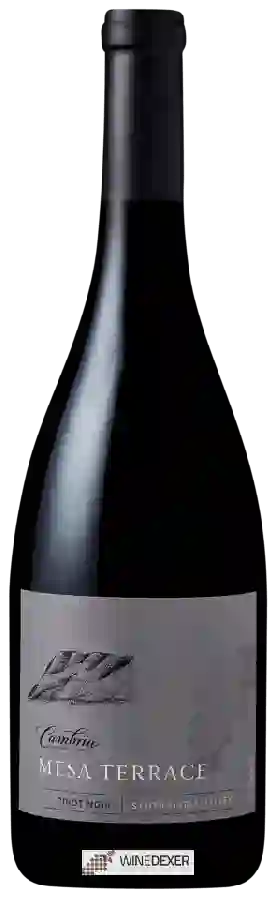 Weingut Cambria - Mesa Terrace Pinot Noir Weingut Cambria - Mesa Terrace Pinot Noir