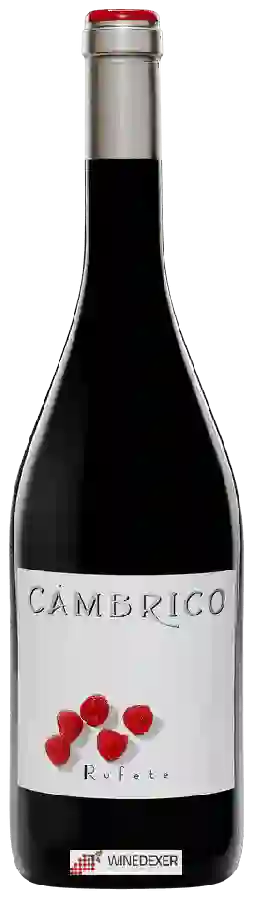 Weingut Cámbrico - Rufete Weingut Cámbrico - Rufete
