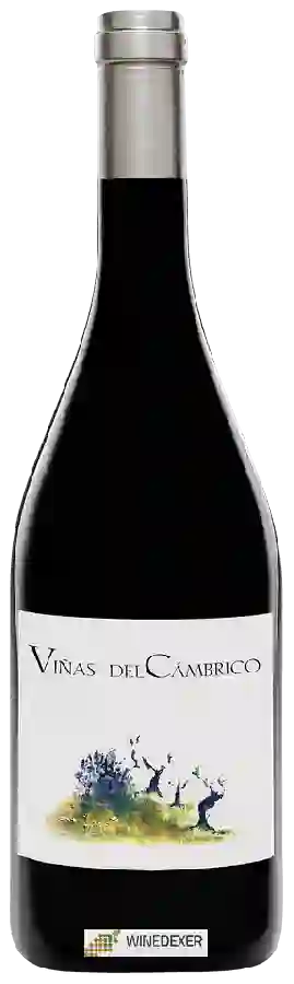 Weingut Cámbrico - Viñas del Cámbrico Weingut Cámbrico - Viñas del Cámbrico