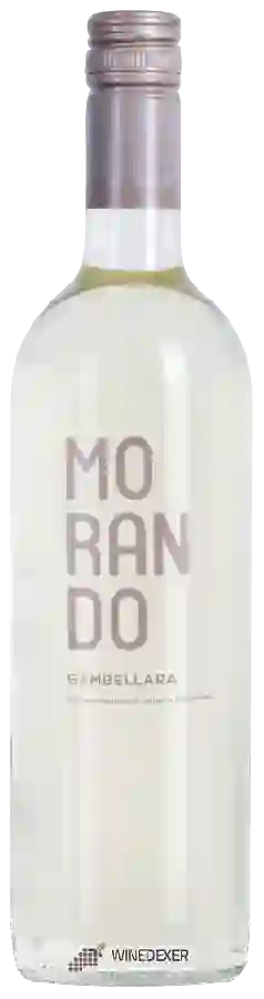 Weingut Campagnola - Morando Gambellara