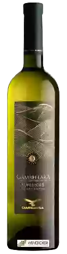 Weingut Campagnola - Gambellara Superiore Vigneti Faldeo