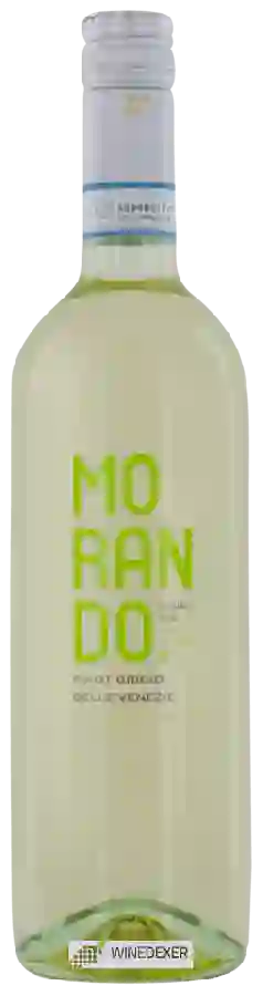Weingut Campagnola - Morando Pinot Grigio Organic Weingut Campagnola - Morando Pinot Grigio Organic