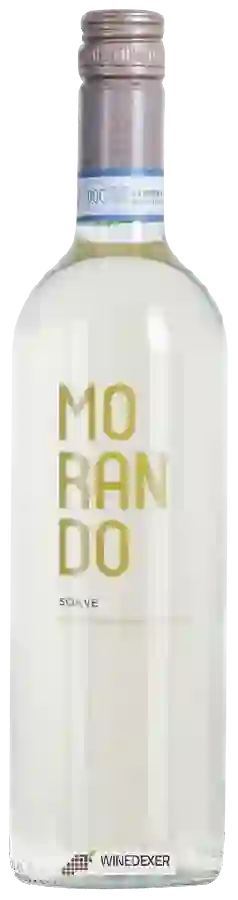 Weingut Campagnola - Morando Soave