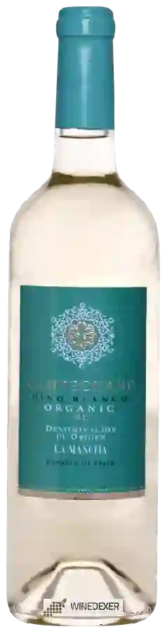 Weingut Campechano - Organic Airen Weingut Campechano - Organic Airen