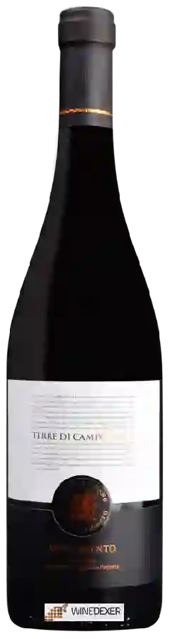 Weingut Terre di Campo Sasso - Appassimento Weingut Terre di Campo Sasso - Appassimento