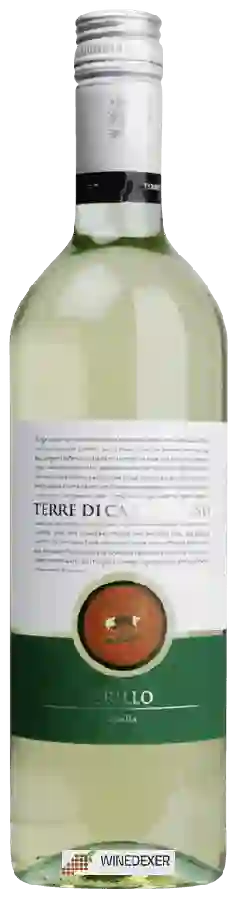 Weingut Terre di Campo Sasso - Grillo Weingut Terre di Campo Sasso - Grillo