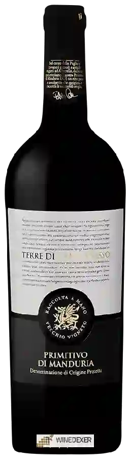 Weingut Terre di Campo Sasso - Primitivo di Manduria Weingut Terre di Campo Sasso - Primitivo di Manduria