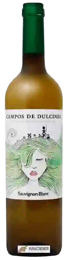 Weingut Campos de Dulcinea - Sauvignon Blanc Weingut Campos de Dulcinea - Sauvignon Blanc