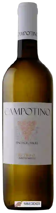 Weingut Campotino - Pecorino Weingut Campotino - Pecorino