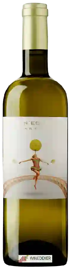 Weingut Ca N'Estruc - Xarel-lo Weingut Ca N'Estruc - Xarel-lo