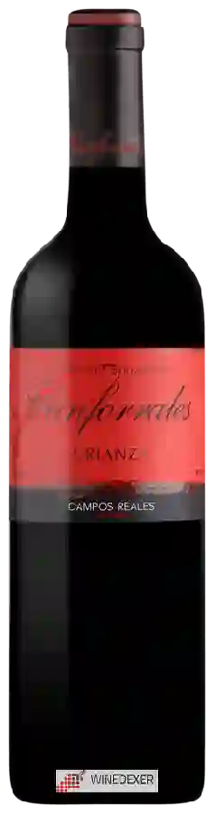 Weingut Canforrales - Crianza Cabernet Sauvignon Weingut Canforrales - Crianza Cabernet Sauvignon