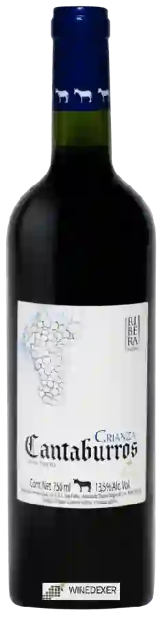 Weingut Cantaburros - Crianza