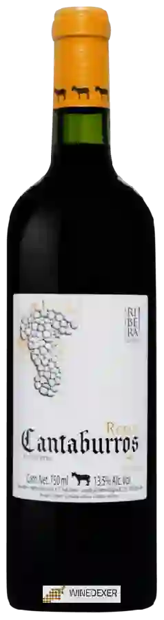 Weingut Cantaburros - Roble