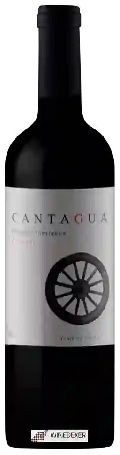 Weingut Cantagua - Classic Cabernet Sauvignon Weingut Cantagua - Classic Cabernet Sauvignon