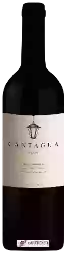 Weingut Cantagua - Merlot