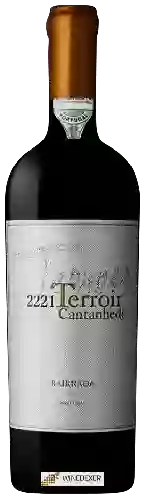 Weingut Cantanhede - 2221 Terroir