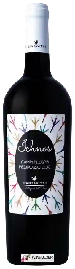 Weingut Cantavitae - Ichnos Campi Flegrei Piedirosso Weingut Cantavitae - Ichnos Campi Flegrei Piedirosso