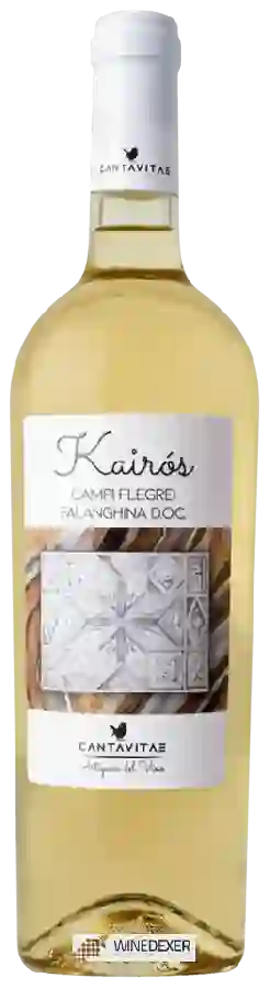 Weingut Cantavitae - Kairòs Falanghina Weingut Cantavitae - Kairòs Falanghina