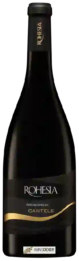 Weingut Cantele - Rohesia Susumaniello