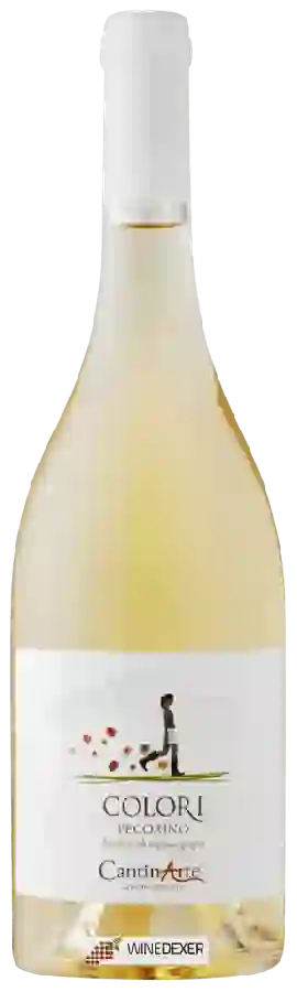 Weingut Cantin Arte - Colori Pecorino Weingut Cantin Arte - Colori Pecorino