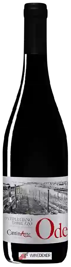 Weingut Cantin Arte - Ode Montepulciano d'Abruzzo