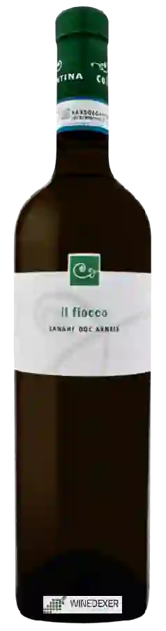 Weingut Cantina Collina d'Oro - Il Fiocco Langhe Arneis