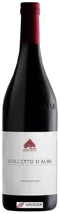 Weingut Cantina del Pino - Dolcetto d’Alba