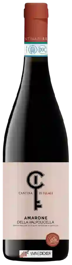 Weingut Cantina di Illasi - Amarone della Valpolicella