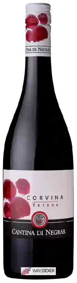 Weingut Cantina di Negrar - Corvina Verona