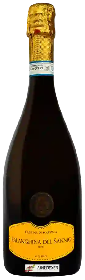 Weingut Cantina di Solopaca - Falanghina del Sannio Brut Weingut Cantina di Solopaca - Falanghina del Sannio Brut