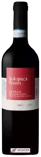 Weingut Cantina di Solopaca - Solopaca Rosso