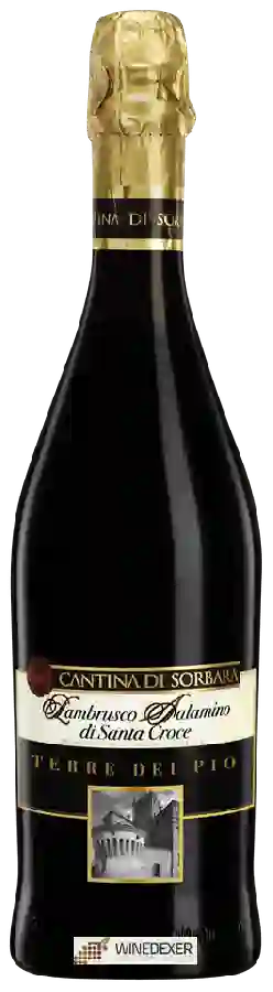 Weingut Cantina di Sorbara - Terre dei Poi Lambrusco Salamino di Santa Croce