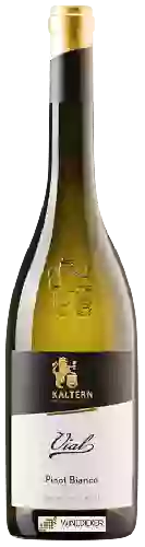 Weingut Cantina Kaltern - Pinot Bianco Vial