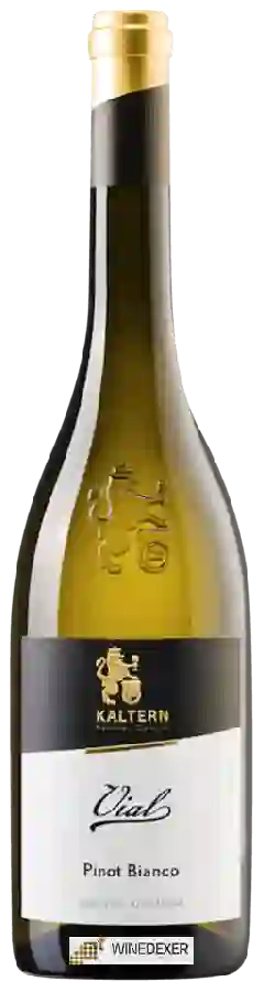 Weingut Cantina Kaltern - Pinot Bianco Vial