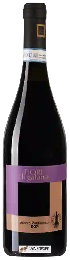 Weingut Cantina Morone - Fiori di Galano Sannio Piedirosso Weingut Cantina Morone - Fiori di Galano Sannio Piedirosso