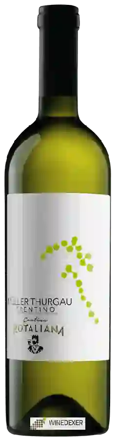 Weingut Cantina Rotaliana - Trentino Müller Thurgau Weingut Cantina Rotaliana - Trentino Müller Thurgau