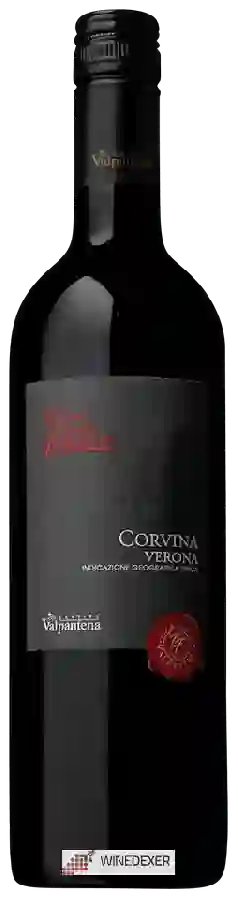 Weingut Cantina Valpantena - Torre del Falasco Corvina