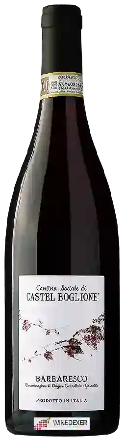 Weingut Castel Boglione - Barbaresco Weingut Castel Boglione - Barbaresco
