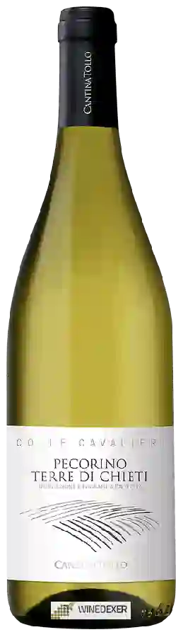 Weingut Cantina Tollo - Colle Cavalieri Pecorino Terre Di Chieti