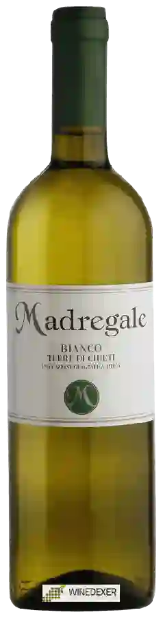 Weingut Cantina Tollo - Madregale Bianco