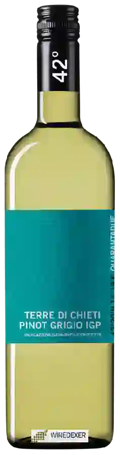 Weingut Cantina Tollo - Quarantadue Pinot Grigio Weingut Cantina Tollo - Quarantadue Pinot Grigio