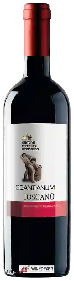 Weingut Cantina Vignaioli del Morellino di Scansano - Scantianum Toscano