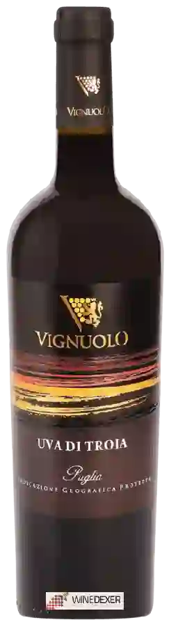 Weingut Cantina Vignuolo - Maniero di Federico Uva di Troia