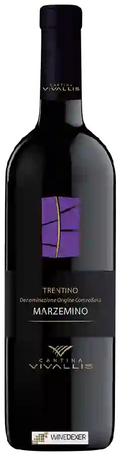 Weingut Cantina Vivallis - Marzemino