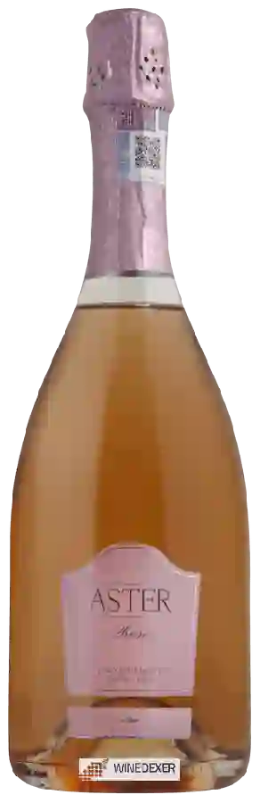 Weingut Cantina Zaccagnini - Aster Rosè Extra Dry  