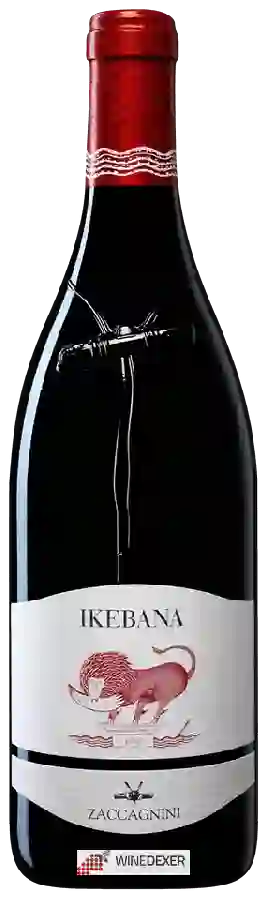 Weingut Cantina Zaccagnini - Ikebana Weingut Cantina Zaccagnini - Ikebana