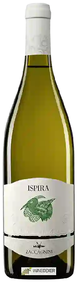 Weingut Cantina Zaccagnini - Ispira