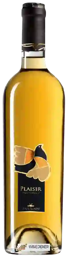 Weingut Cantina Zaccagnini - Plaisir Passito Bianco