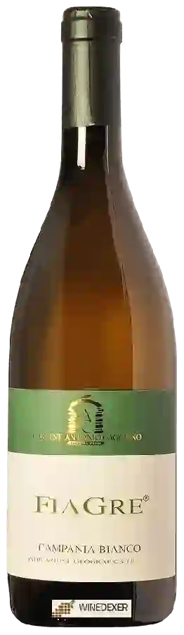 Weingut Antonio Caggiano - Fiagre Campania Bianco Weingut Antonio Caggiano - Fiagre Campania Bianco